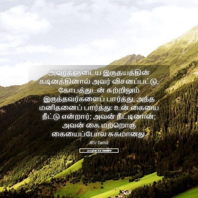 Picture 05 - மாற்கு 3:5 TAMIRV - அவர்களுடைய - Bible Verse Picture