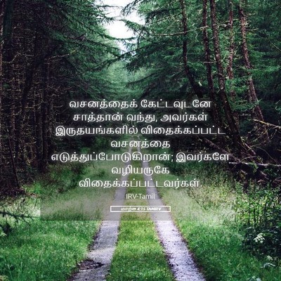 Picture 05 - மாற்கு 4:15 TAMIRV - வசனத்தைக் - Bible Verse Picture