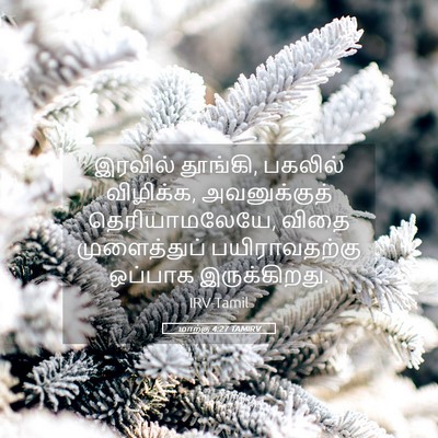 Picture 05 - மாற்கு 4:27 TAMIRV - இரவில் தூங்கி, - Bible Verse Picture