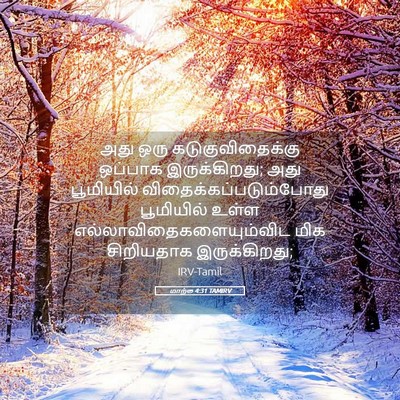 Picture 05 - மாற்கு 4:31 TAMIRV - அது ஒரு - Bible Verse Picture