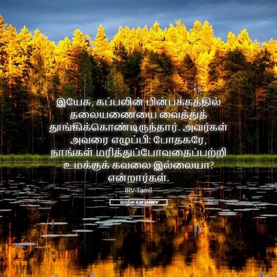Picture 05 - மாற்கு 4:38 TAMIRV - இயேசு, கப்பலின் - Bible Verse Picture
