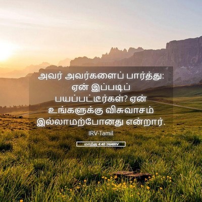 Picture 05 - மாற்கு 4:40 TAMIRV - அவர் அவர்களைப் - Bible Verse Picture