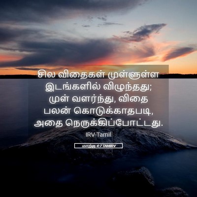 Picture 05 - மாற்கு 4:7 TAMIRV - சில விதைகள் - Bible Verse Picture