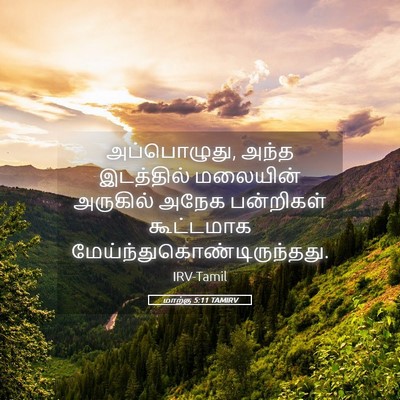 Picture 05 - மாற்கு 5:11 TAMIRV - அப்பொழுது, அந்த - Bible Verse Picture