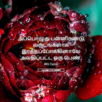Picture 05 - மாற்கு 5:25 TAMIRV - அப்பொழுது - Bible Verse Picture