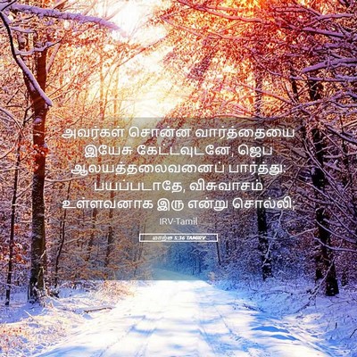 Picture 05 - மாற்கு 5:36 TAMIRV - அவர்கள் சொன்ன - Bible Verse Picture