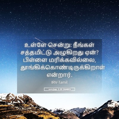 Picture 05 - மாற்கு 5:39 TAMIRV - உள்ளே சென்று: - Bible Verse Picture