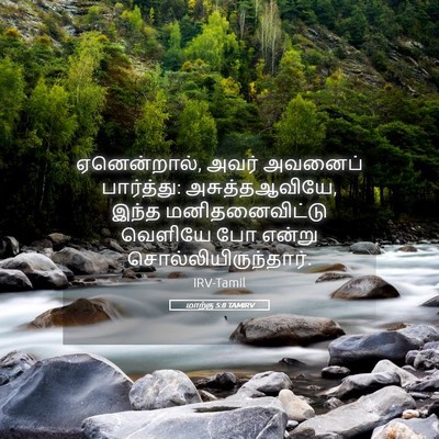 Picture 05 - மாற்கு 5:8 TAMIRV - ஏனென்றால், அவர் - Bible Verse Picture
