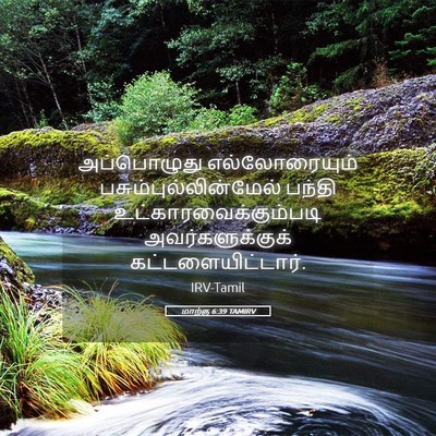 Picture 05 - மாற்கு 6:39 TAMIRV - அப்பொழுது - Bible Verse Picture