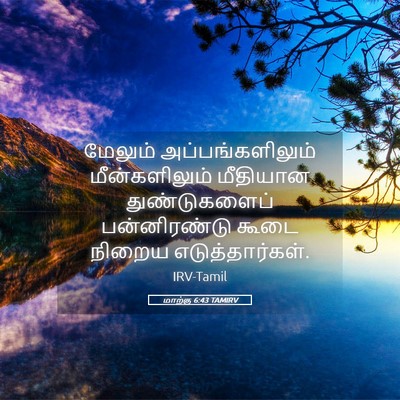 Picture 05 - மாற்கு 6:43 TAMIRV - மேலும் - Bible Verse Picture