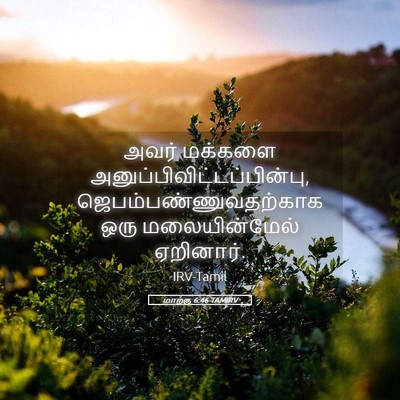 Picture 05 - மாற்கு 6:46 TAMIRV - அவர் மக்களை - Bible Verse Picture