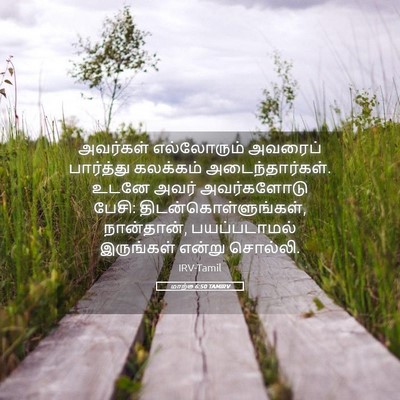 Picture 05 - மாற்கு 6:50 TAMIRV - அவர்கள் எல்லோரும் - Bible Verse Picture
