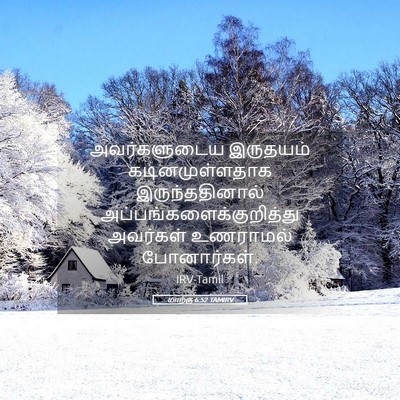 Picture 05 - மாற்கு 6:52 TAMIRV - அவர்களுடைய - Bible Verse Picture