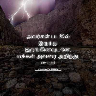 Picture 05 - மாற்கு 6:54 TAMIRV - அவர்கள் படகில் - Bible Verse Picture