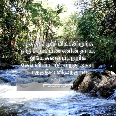 Picture 05 - மாற்கு 7:25 TAMIRV - அசுத்தஆவி - Bible Verse Picture