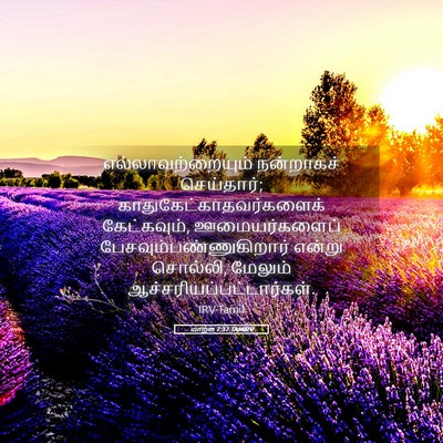 Picture 05 - மாற்கு 7:37 TAMIRV - எல்லாவற்றையும் - Bible Verse Picture