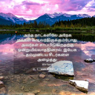Picture 05 - மாற்கு 8:1 TAMIRV - அந்த நாட்களிலே - Bible Verse Picture