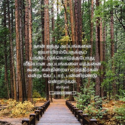 Picture 05 - மாற்கு 8:19 TAMIRV - நான் ஐந்து - Bible Verse Picture