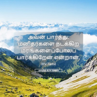 Picture 05 - மாற்கு 8:24 TAMIRV - அவன் பார்த்து: - Bible Verse Picture