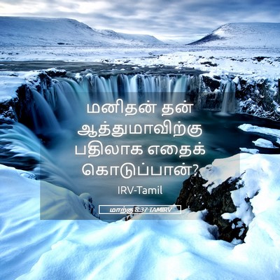 Picture 05 - மாற்கு 8:37 TAMIRV - மனிதன் தன் - Bible Verse Picture