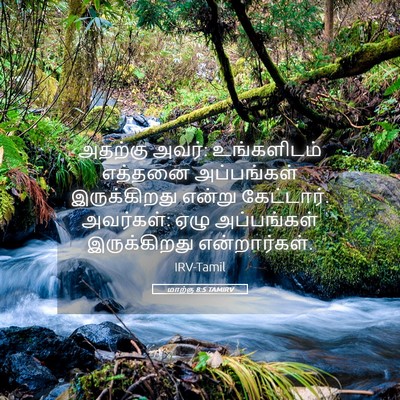 Picture 05 - மாற்கு 8:5 TAMIRV - அதற்கு அவர்: - Bible Verse Picture