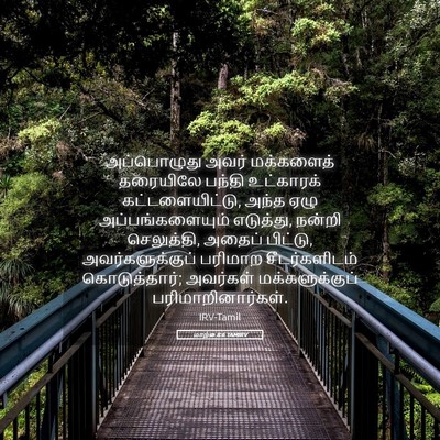 Picture 05 - மாற்கு 8:6 TAMIRV - அப்பொழுது அவர் - Bible Verse Picture
