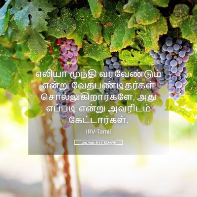 Picture 05 - மாற்கு 9:11 TAMIRV - எலியா முந்தி - Bible Verse Picture