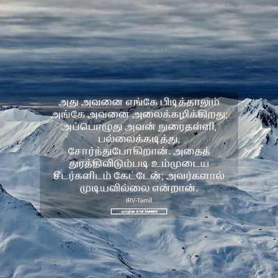Picture 05 - மாற்கு 9:18 TAMIRV - அது அவனை எங்கே - Bible Verse Picture