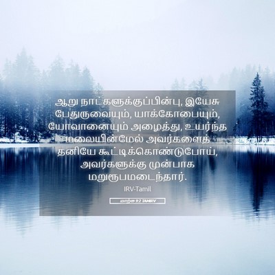 Picture 05 - மாற்கு 9:2 TAMIRV - ஆறு - Bible Verse Picture