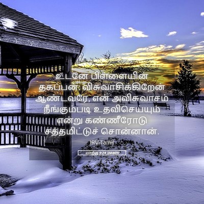 Picture 05 - மாற்கு 9:24 TAMIRV - உடனே பிள்ளையின் - Bible Verse Picture