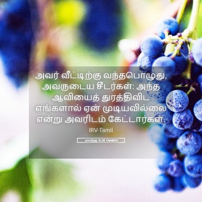 Picture 05 - மாற்கு 9:28 TAMIRV - அவர் வீட்டிற்கு - Bible Verse Picture