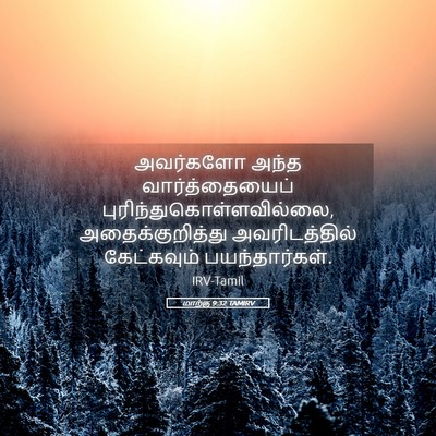 Picture 05 - மாற்கு 9:32 TAMIRV - அவர்களோ அந்த - Bible Verse Picture