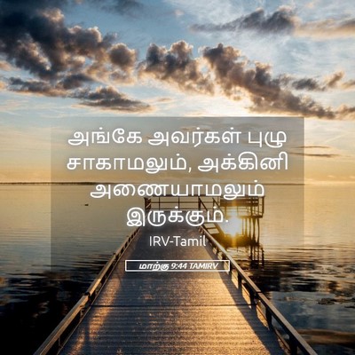 Picture 05 - மாற்கு 9:44 TAMIRV - அங்கே அவர்கள் - Bible Verse Picture