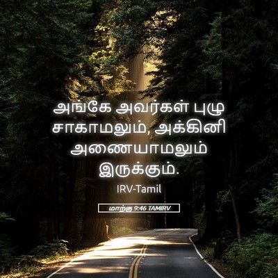 Picture 05 - மாற்கு 9:46 TAMIRV - அங்கே அவர்கள் - Bible Verse Picture