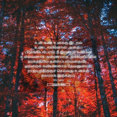 Picture 05 - மாற்கு 9:47 TAMIRV - உன் கண் உனக்கு - Bible Verse Picture