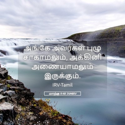 Picture 05 - மாற்கு 9:48 TAMIRV - அங்கே அவர்கள் - Bible Verse Picture