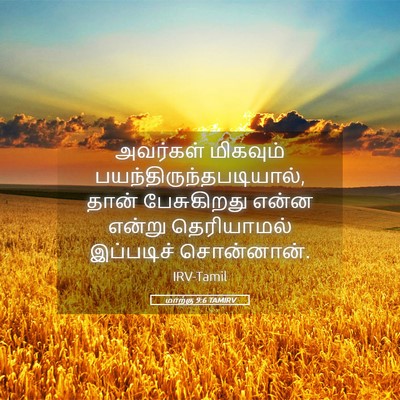 Picture 05 - மாற்கு 9:6 TAMIRV - அவர்கள் மிகவும் - Bible Verse Picture