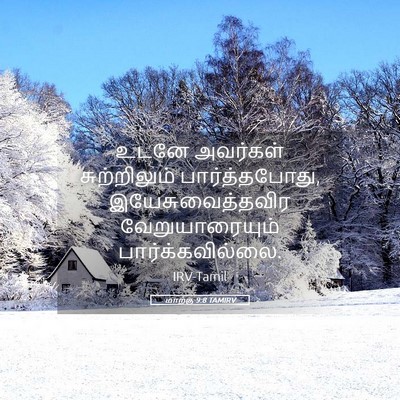 Picture 05 - மாற்கு 9:8 TAMIRV - உடனே அவர்கள் - Bible Verse Picture