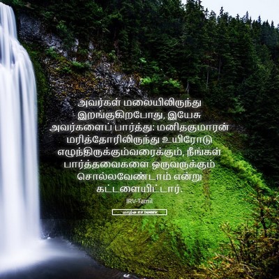 Picture 05 - மாற்கு 9:9 TAMIRV - அவர்கள் - Bible Verse Picture