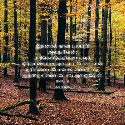 Picture 05 - மீகா 1:8 TAMIRV - இதனால் நான் - Bible Verse Picture