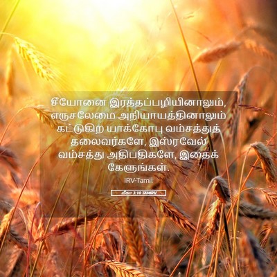 Picture 05 - மீகா 3:10 TAMIRV - சீயோனை - Bible Verse Picture