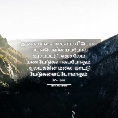 Picture 05 - மீகா 3:12 TAMIRV - ஆகையால் உங்களால் - Bible Verse Picture