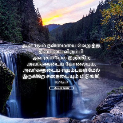 Picture 05 - மீகா 3:2 TAMIRV - ஆனாலும் நன்மையை - Bible Verse Picture
