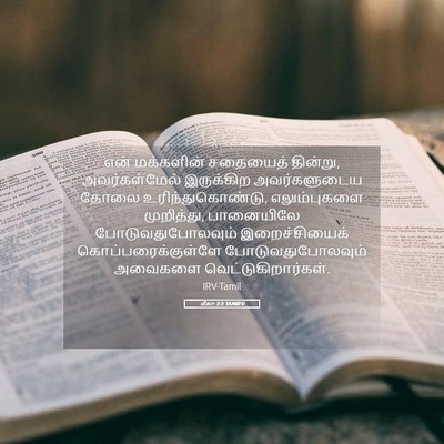 Picture 05 - மீகா 3:3 TAMIRV - என் மக்களின் - Bible Verse Picture