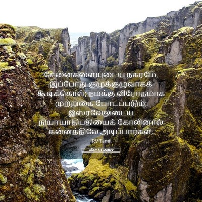 Picture 05 - மீகா 5:1 TAMIRV - சேனைகளையுடைய - Bible Verse Picture