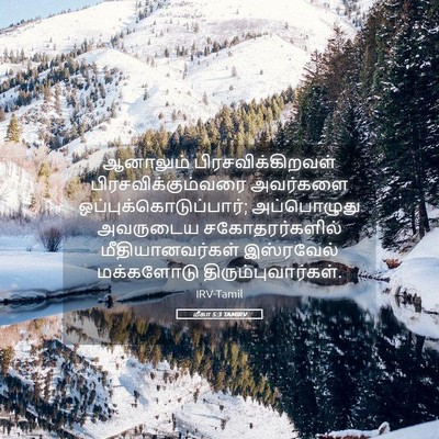 Picture 05 - மீகா 5:3 TAMIRV - ஆனாலும் - Bible Verse Picture