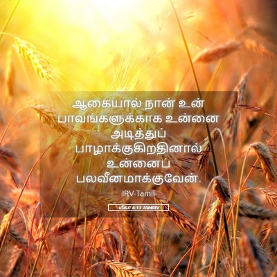 Picture 05 - மீகா 6:13 TAMIRV - ஆகையால் நான் உன் - Bible Verse Picture