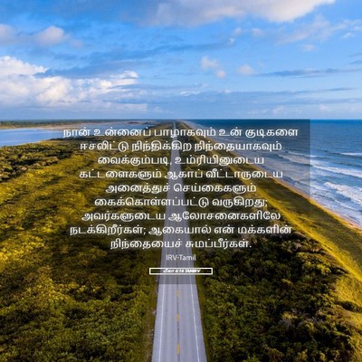 Picture 05 - மீகா 6:16 TAMIRV - நான் உன்னைப் - Bible Verse Picture