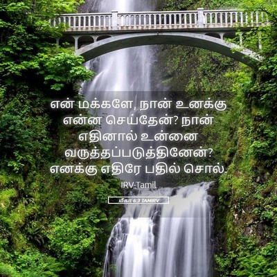 Picture 05 - மீகா 6:3 TAMIRV - என் மக்களே, நான் - Bible Verse Picture
