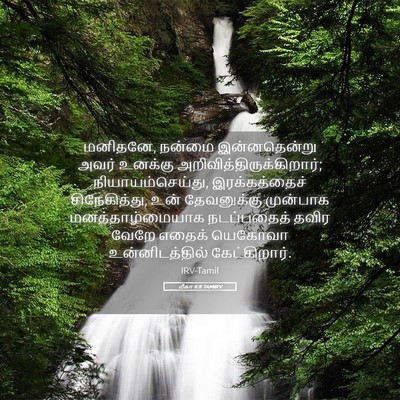 Picture 05 - மீகா 6:8 TAMIRV - மனிதனே, நன்மை - Bible Verse Picture